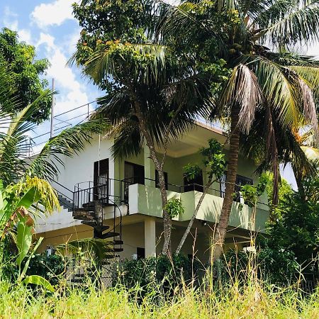 Rice Field View Home Stay Tangalle Extérieur photo