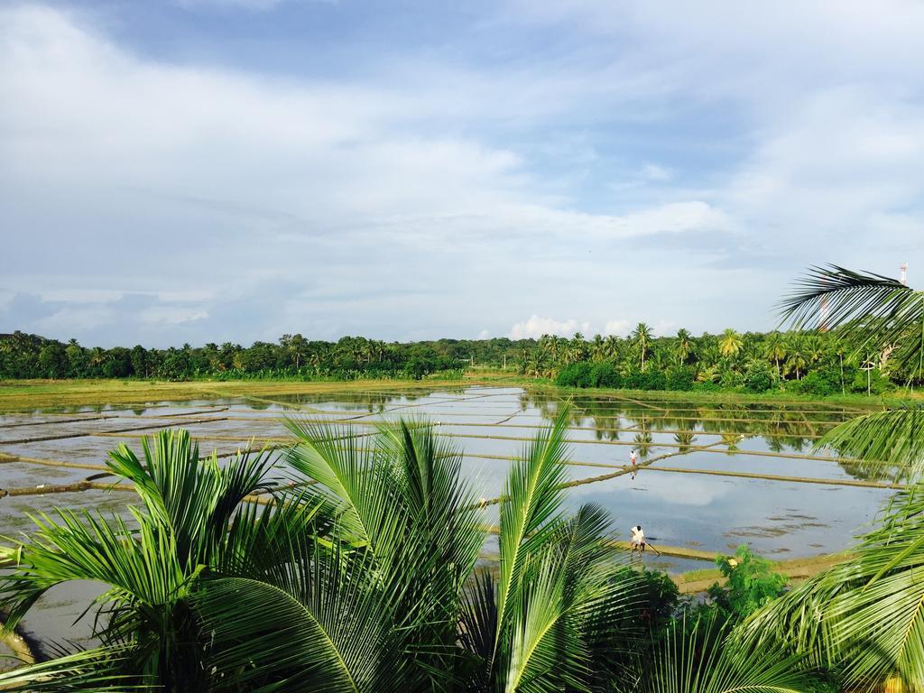 Rice Field View Home Stay Tangalle Chambre photo