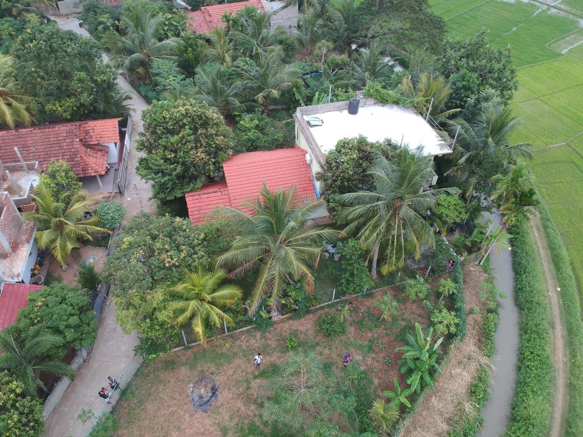 Rice Field View Home Stay Tangalle Extérieur photo