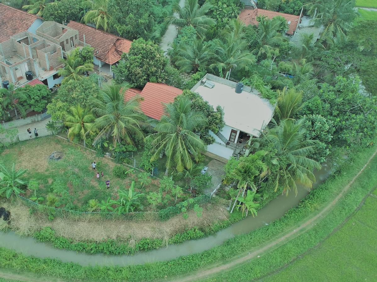 Rice Field View Home Stay Tangalle Extérieur photo