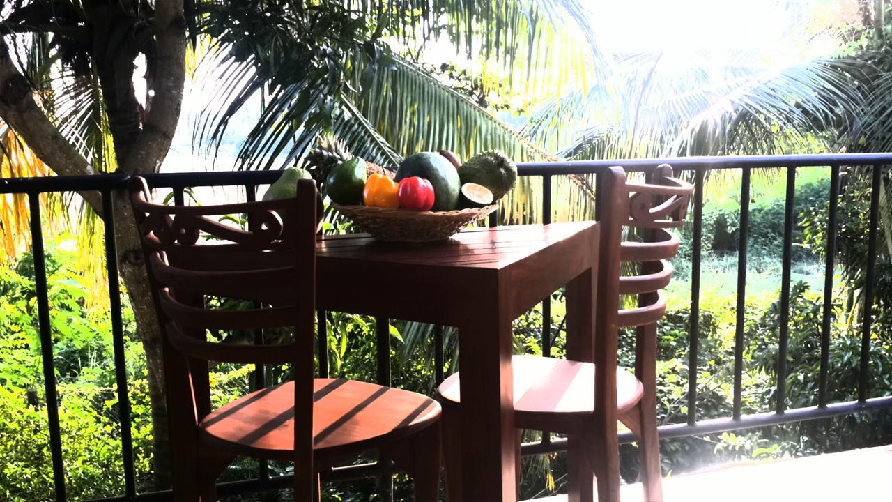 Rice Field View Home Stay Tangalle Extérieur photo