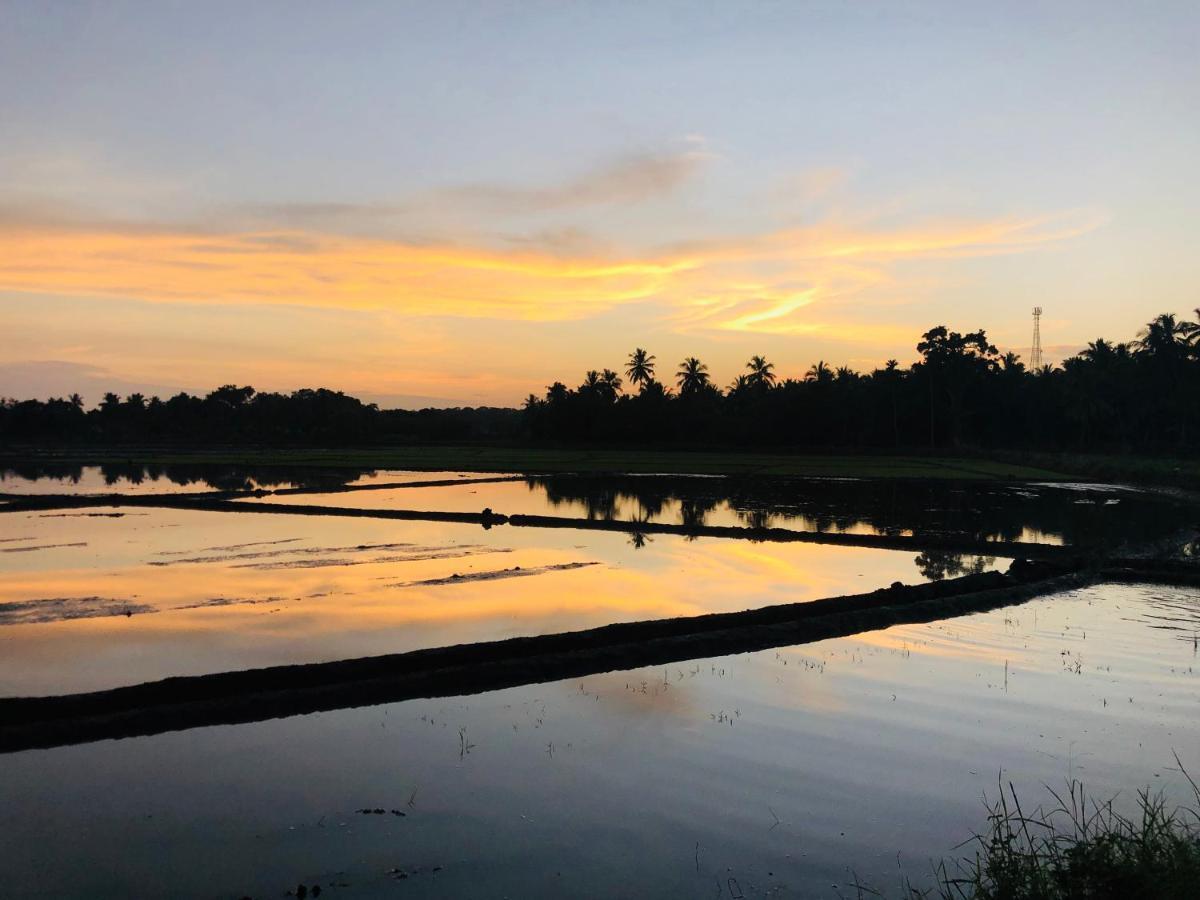 Rice Field View Home Stay Tangalle Extérieur photo